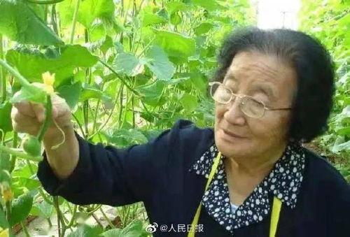 有父爱但不多娱乐吃瓜酱